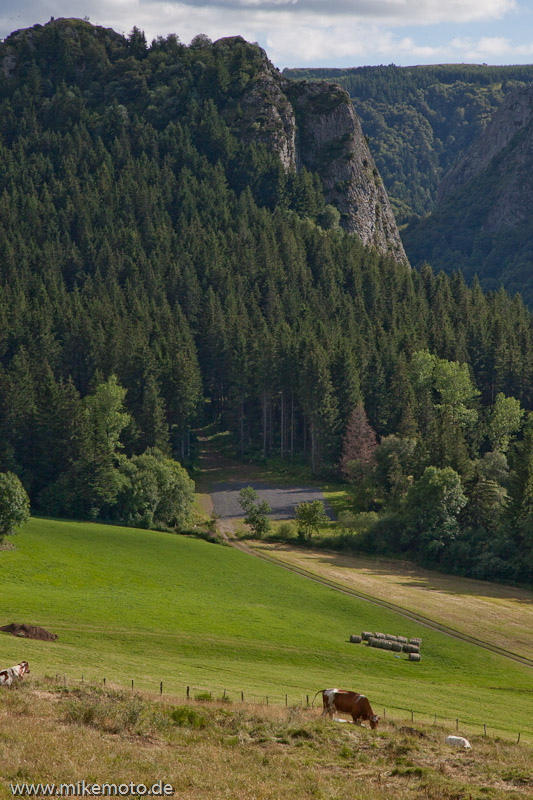 25. Juli 2009