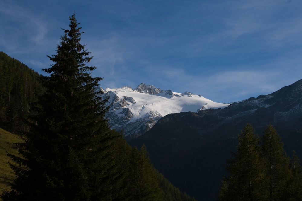 _MG_2185