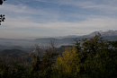 _MG_2016