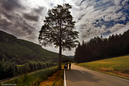 _MG_0109_14_09_0024_Bearbeiten