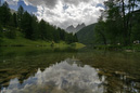 _MG_0350x_11_19_0024
