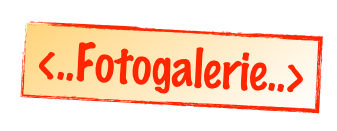 <..Fotogalerie..>