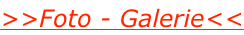shapeimage_3_link_0