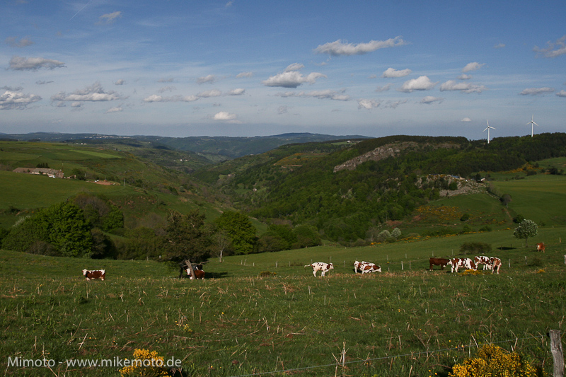 Pyr2007_0154