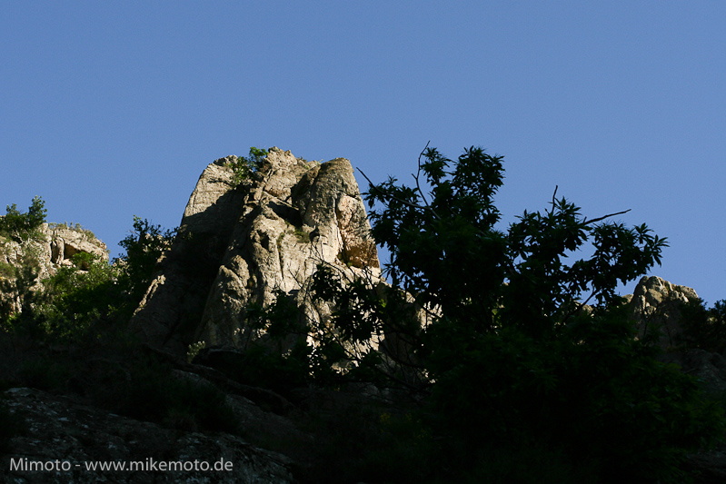 Pyr2007_0196