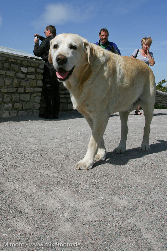 Pyr2007_0392