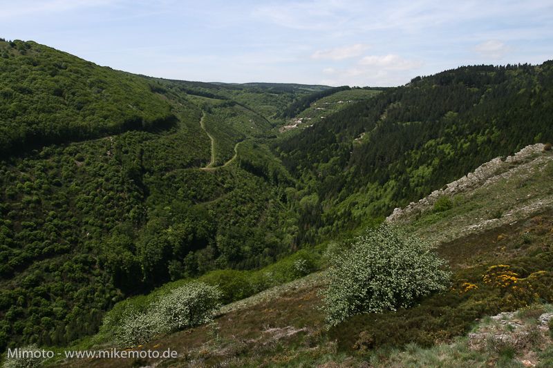 Pyr2007_0467