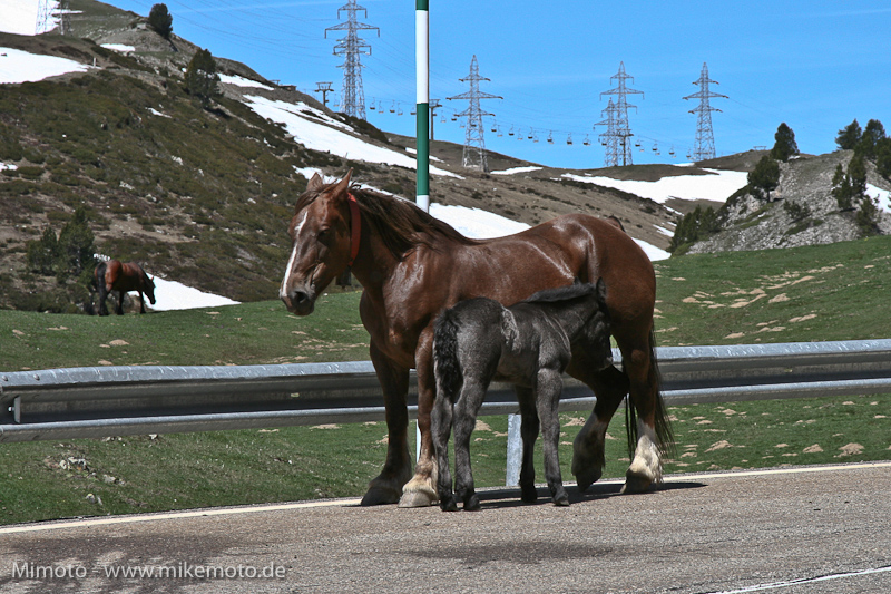 Pyr2007_0630