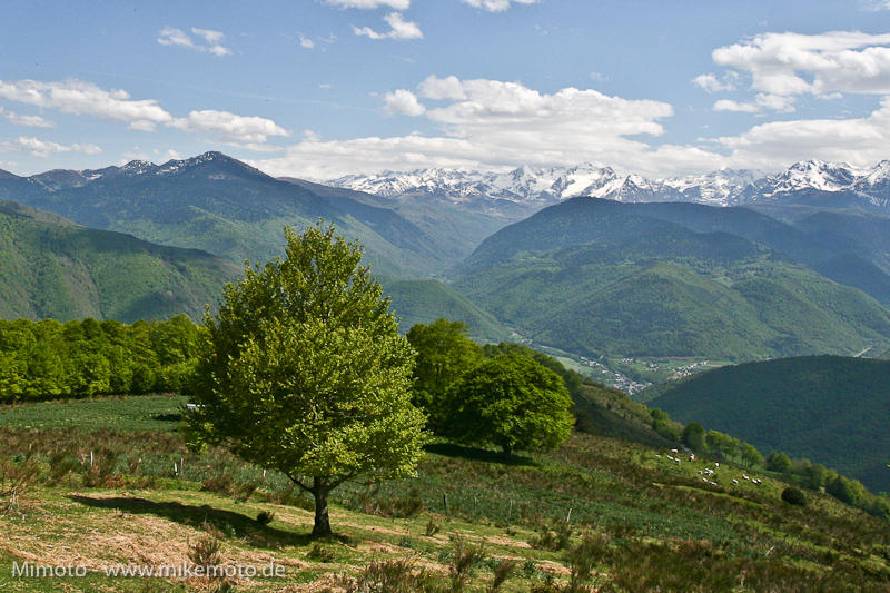 Pyr2007_0710