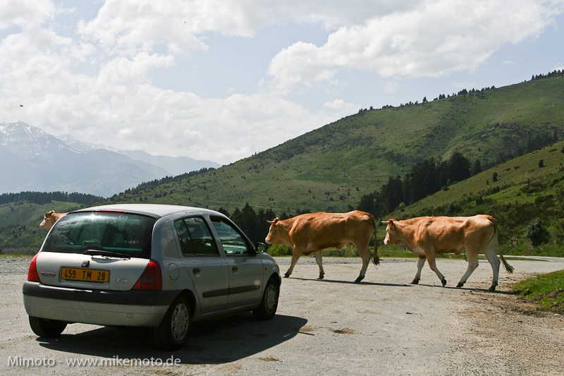 Pyr2007_0719