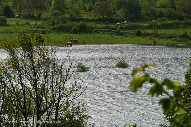 Pyr2007_0813