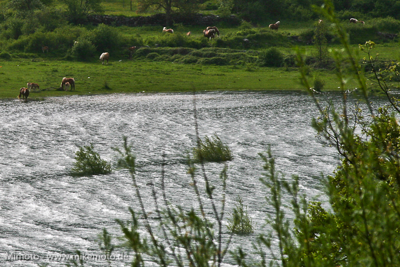 Pyr2007_0820
