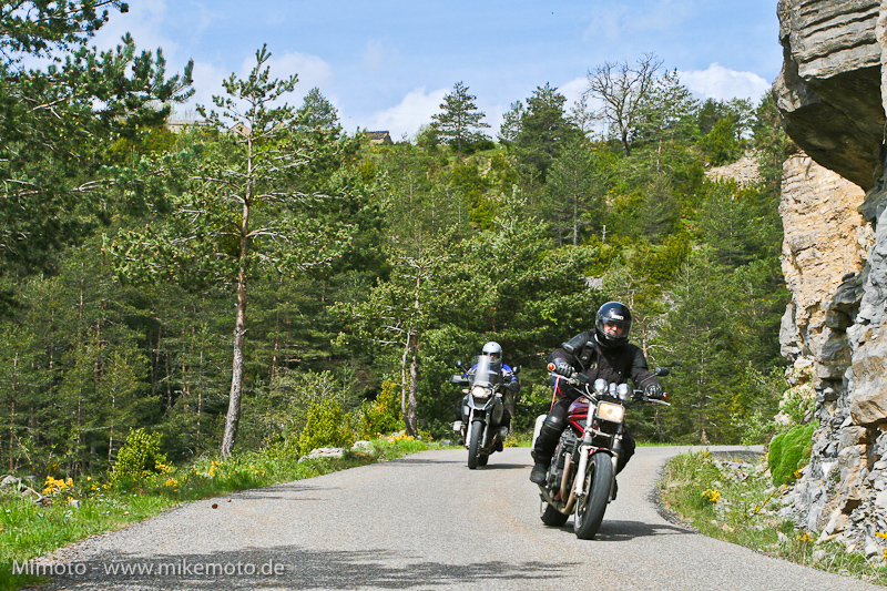 Pyr2007_0836