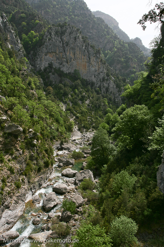 Pyr2007_0855