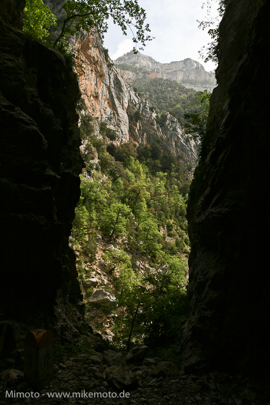 Pyr2007_0864