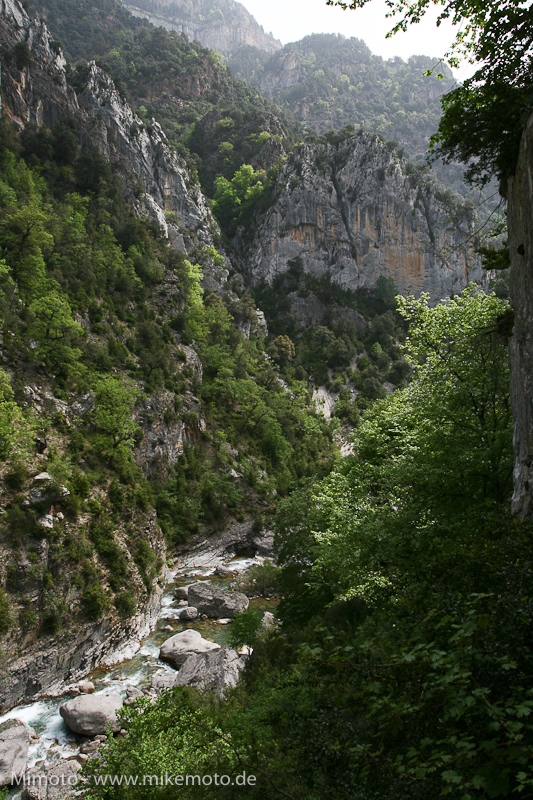 Pyr2007_0868