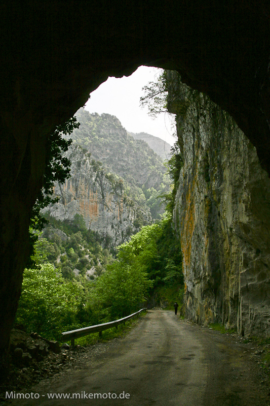 Pyr2007_0869