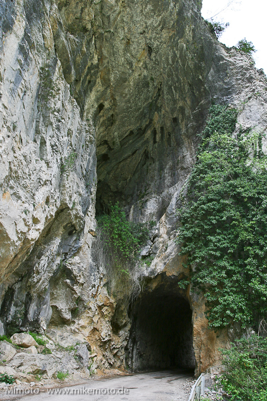 Pyr2007_0871