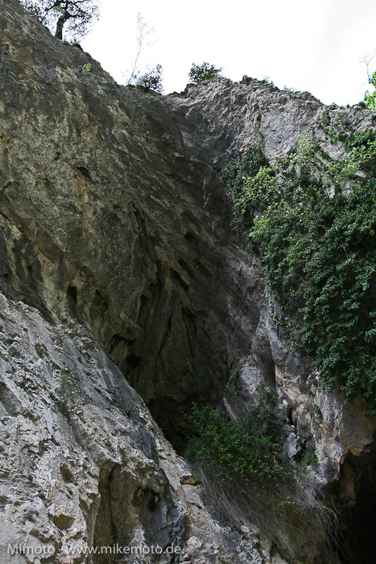 Pyr2007_0873