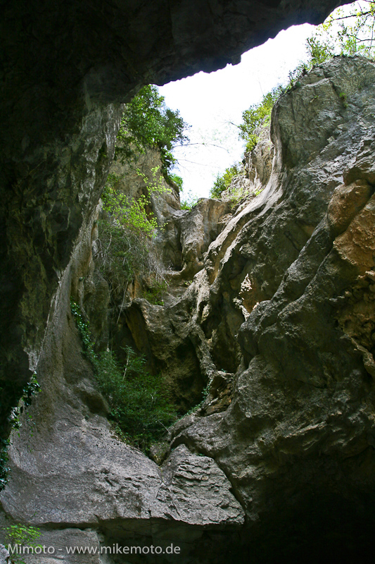 Pyr2007_0875