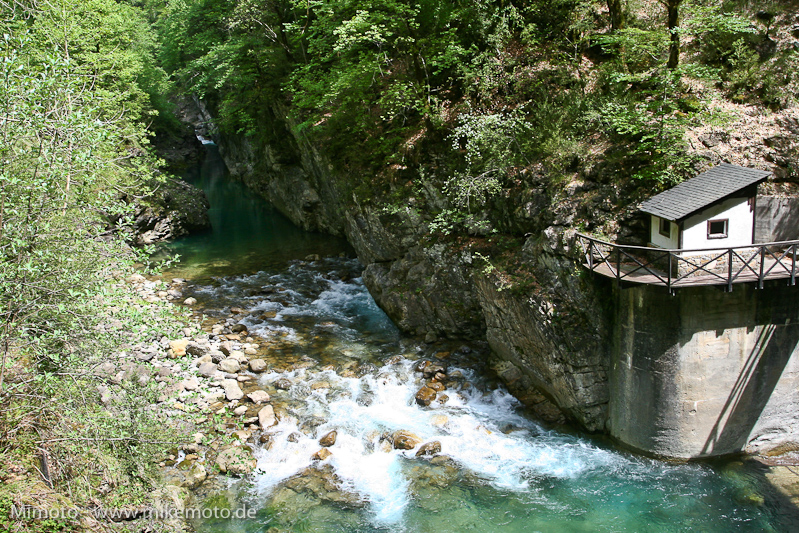 Pyr2007_0886