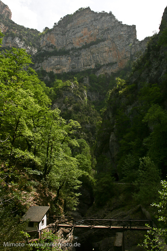 Pyr2007_0889