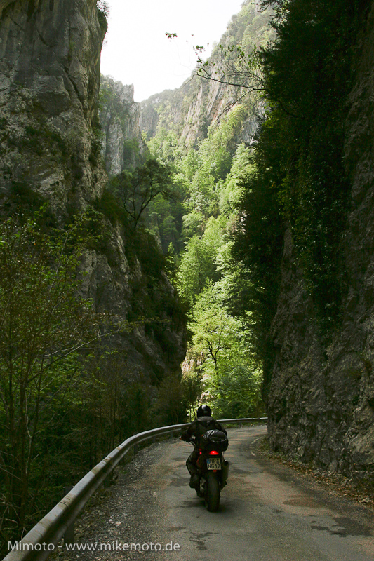 Pyr2007_0893