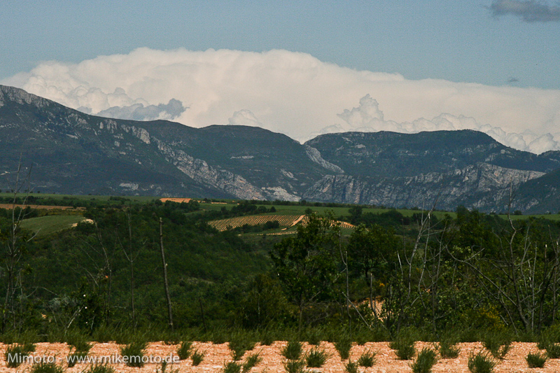 Pyr2007_1016