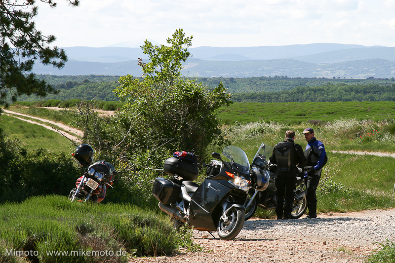 Pyr2007_1029