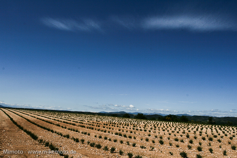 Pyr2007_1032