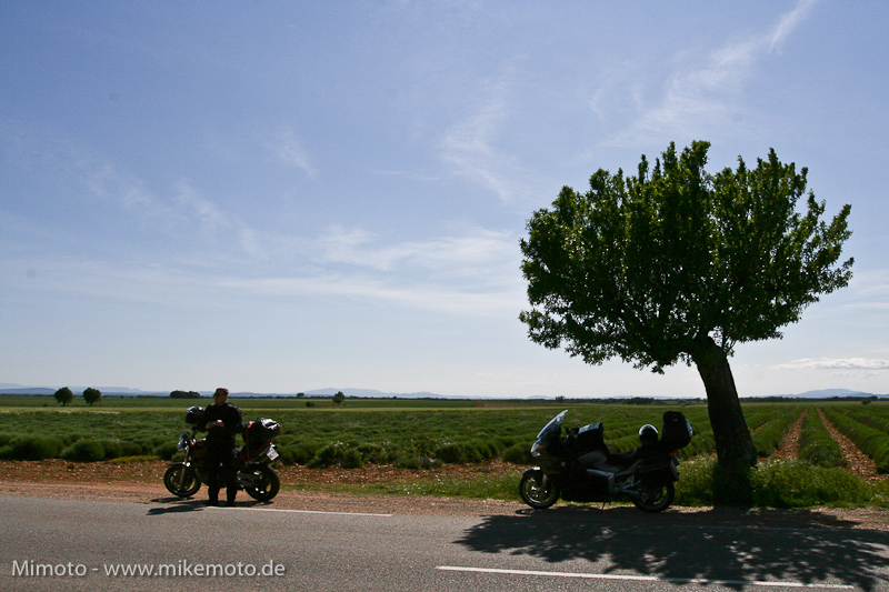 Pyr2007_1035