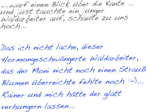„...warf einen Blick über die Kante ... und just tauchte ein junger Waldarbeiter auf, schaute zu uns hoch...“

Das ich nicht lache, dieser Hormongeschwängerte Waldarbeiter, das der Moni nicht noch einen Strauß Blumen überreichte fehlte noch :-)...
Rainer und mich hätte der glatt verhungern lassen...