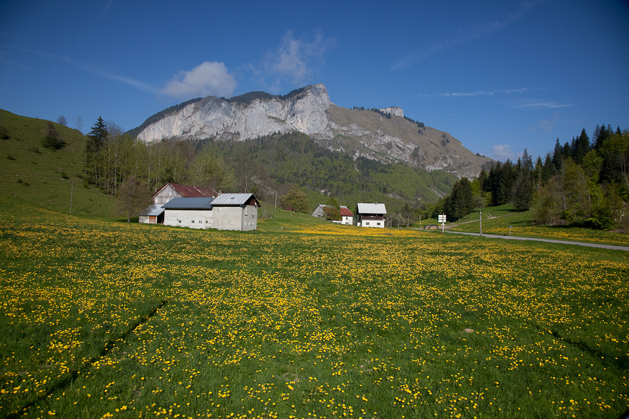 20. Mai 2010