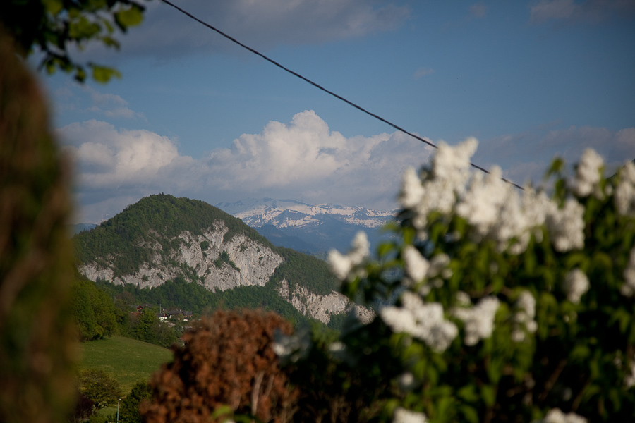 20. Mai 2010
