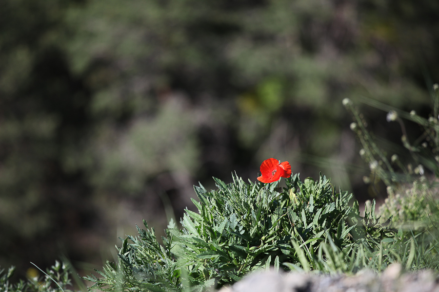 22. Mai 2010