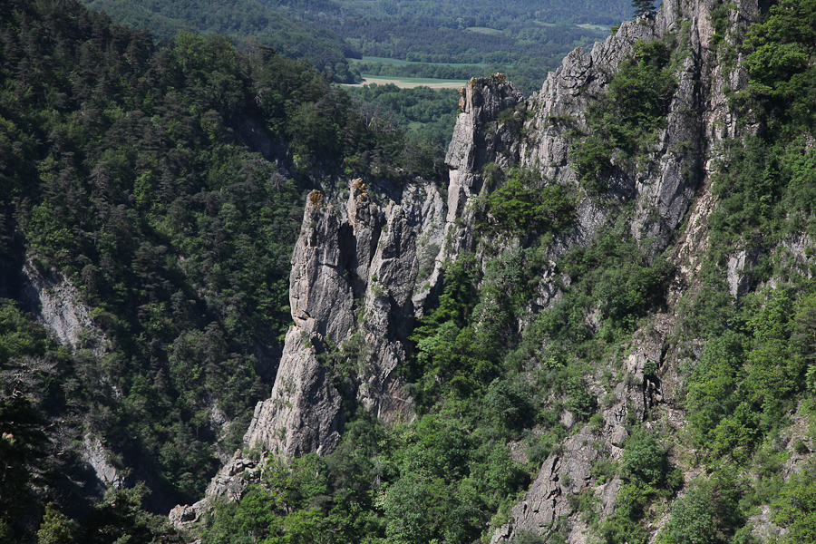 24. Mai 2010