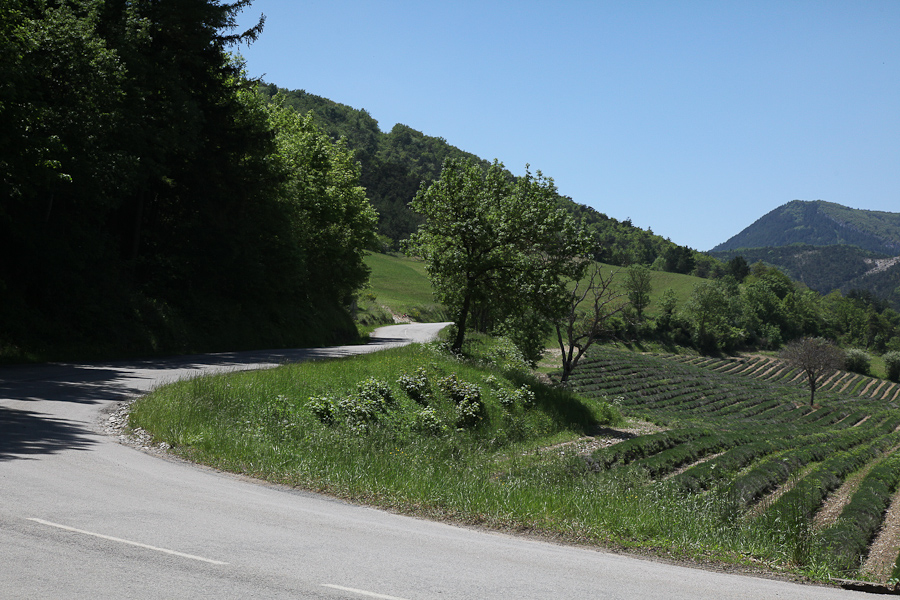 24. Mai 2010
