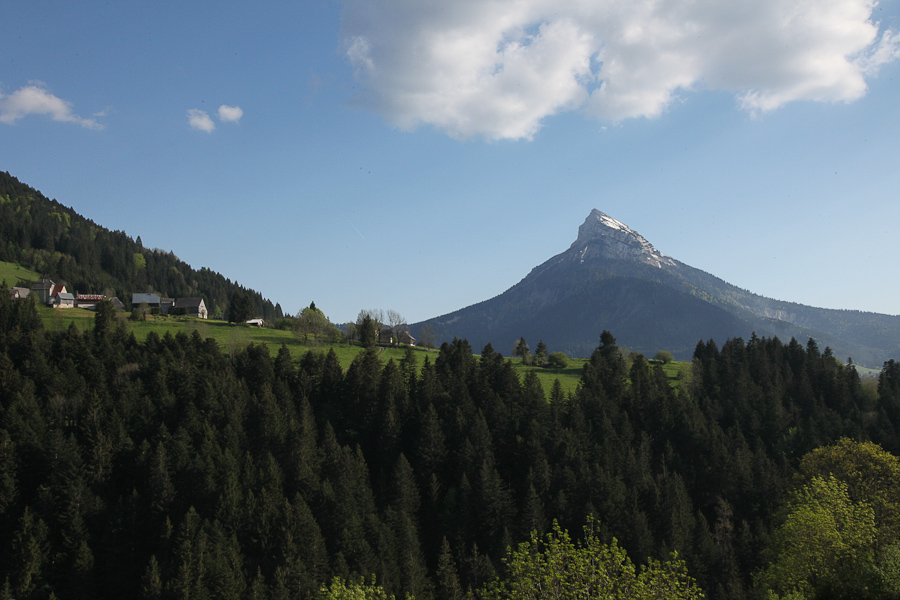 24. Mai 2010