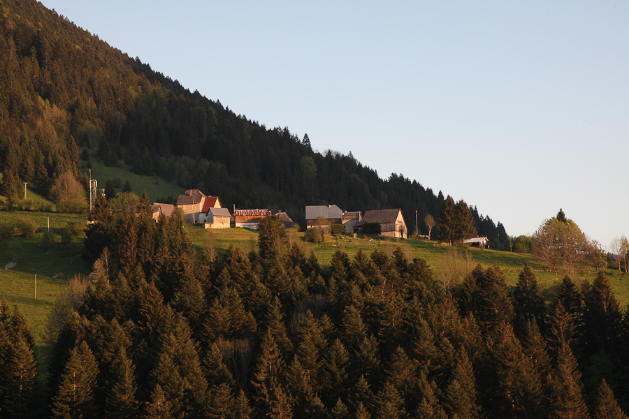 24. Mai 2010