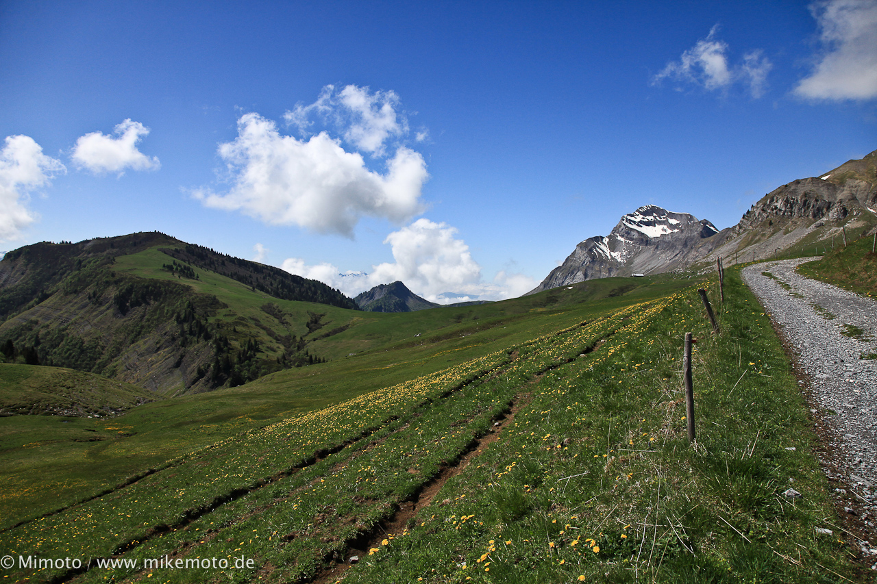Canon EOS 5D Mark II - EF24-105mm f/4L IS USM
